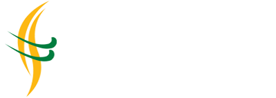 Integrio Solutions LLP - Solar Power | IT Services | Consulting | Digital Transformation